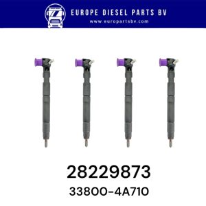 Delphi 28229873 Hyundai H1 KIA BONGO 2.5L CRDÄ° 33800-4A710 Euro 5 Diesel Cr Injector
